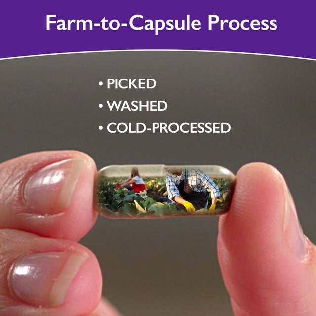 Govana Fruits as Seen on TV, Packed with 16 Fruits