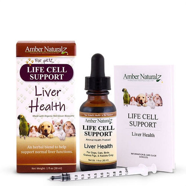 Life Cell Support - Support Liver Function & the Body'S Natural Process of Detoxification 1Oz