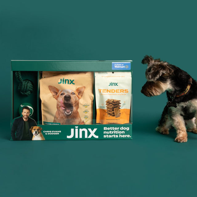 Jinx & Chris Evans Dog Dream Box