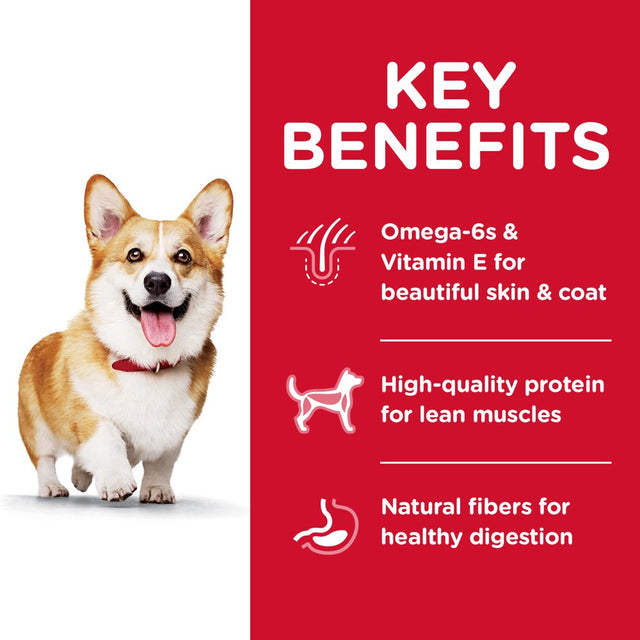 Hill'S Science Diet Adult Small Bites Lamb Meal & Brown Rice Recipe Dry Dog Food, 4.5 Lb Bag