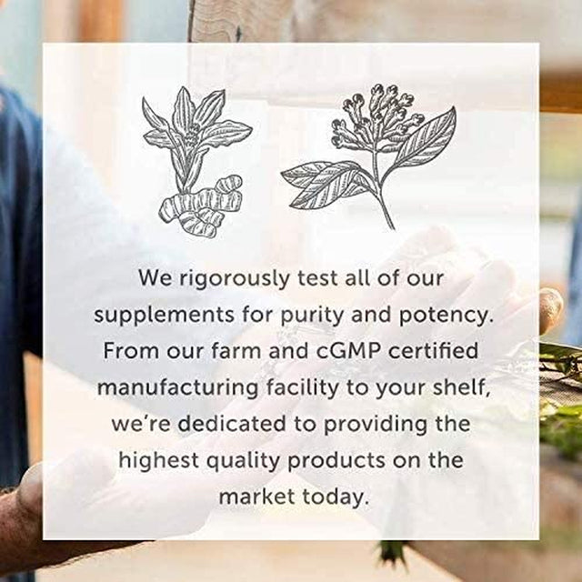 Global Healing Center Gut Health Kit - 30-Day Program for Complete Digestive Maintenance, Includes: Prebiotic, Probiotic, Intestinal & Colon Cleanse, Aloe Vera Supplements for Adult Women & Men