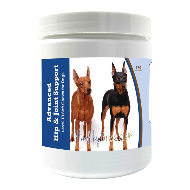 Healthy Breeds Miniature Pinscher Advanced Hip & Joint Support Level III Soft Chews for Dogs 120 Count
