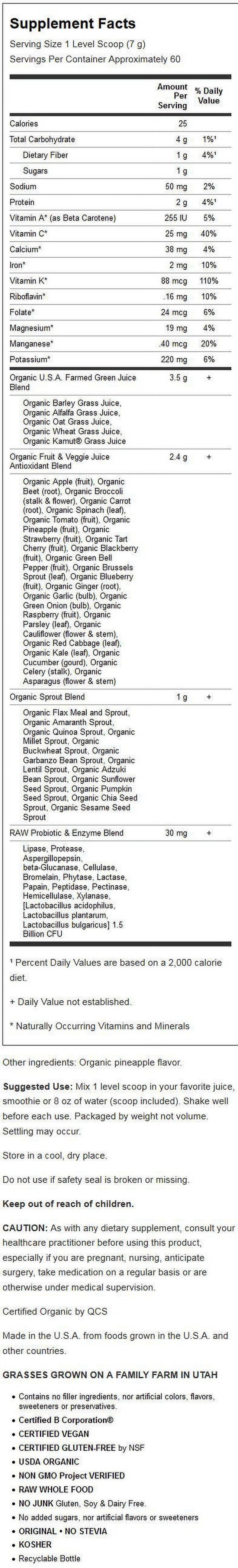 Garden of Life Garden of Life Raw Organic Perfect Food Green Superfood, 14.8 Oz