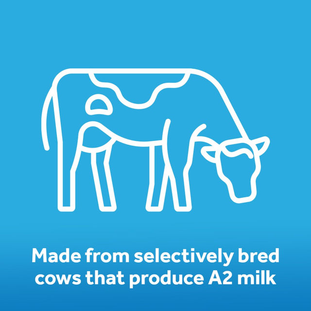 Gerber Good Start Premium Powder Formula Toddler Drinkwith A2 Advanced for Digestive Support, 20 Oz Canister