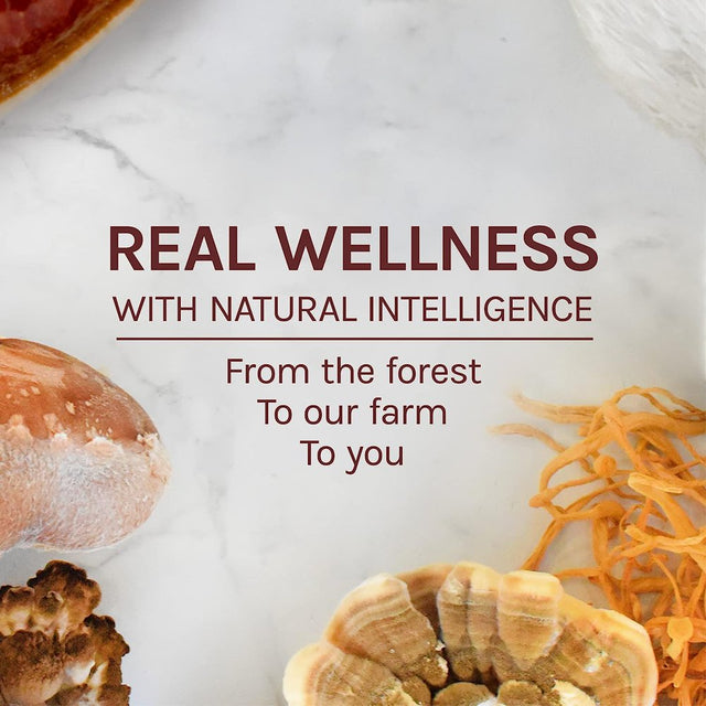 Host Defense, Maitake Extract, Mushroom Supplement, Plain, 1 Fl Oz