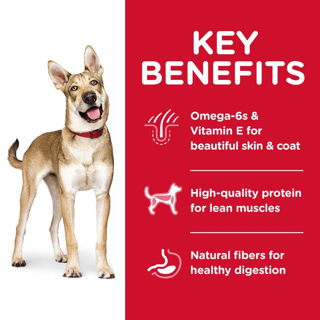 Hill'S Science Diet (Spend $20,Get $5) Adult Lamb Meal & Brown Rice Recipe Dry Dog Food, 33 Lb Bag-See Description for Rebate Details