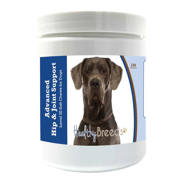 Healthy Breeds Great Dane Advanced Hip & Joint Support Level III Soft Chews for Dogs 120 Count