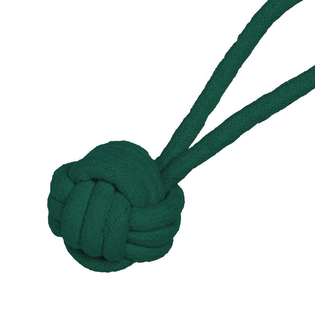 Jinx & Chris Evans Dog Dream Box