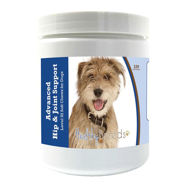 Healthy Breeds Mutt Advanced Hip & Joint Support Level III Soft Chews for Dogs 120 Count