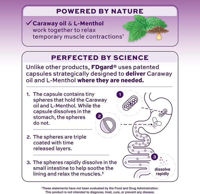 Fdgard Gut Health Supplement, Indigestion, Nausea & Bloating, Upset Stomach, 36 Capsules (Packaging May Vary)