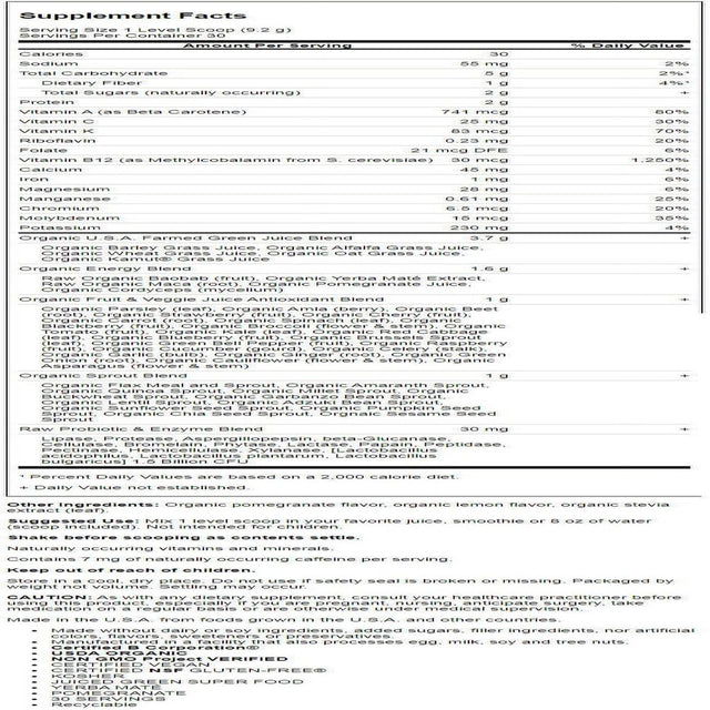 Garden of Life Garden of Life Raw Organic Perfect Food Energizer, 9.8 Oz