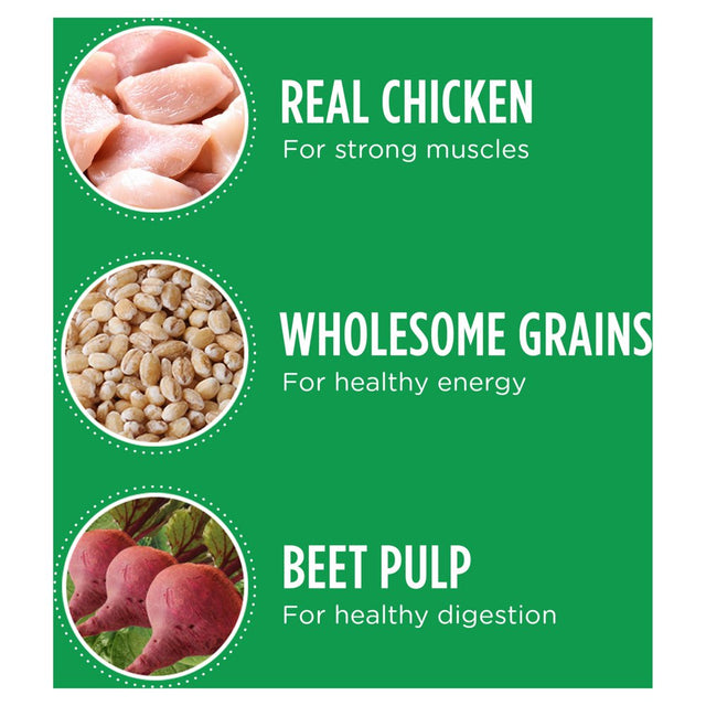 IAMS Adult Large Breed Healthy Dry Dog Food Chicken Dog Kibble, 50 Lb. Bag