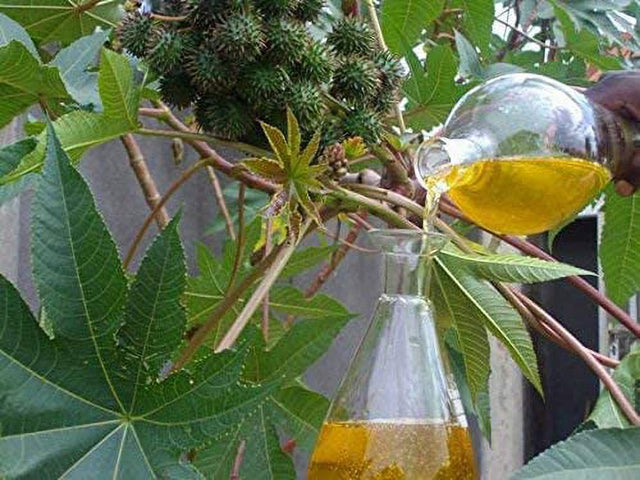 JR Titan Oil, Pen Is Thickening Growth Bigger Man Sex Time Delay, Jack Titanic Russian Oil Blend Rabbit Enlargement Oils Adult Sex Products for Men Horny Goat Stay Harder Longer Extra Large 60Ml /1Oz