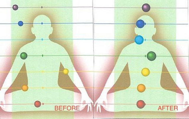 HEDRON EMF Protection and Energy Field Enhancement Device - Premium Body Radiation Shield