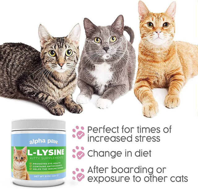 Alpha Paw - Human Grade for Pets - Cat Lysine Supplement - Extra Servings 5-10 Month Supply - Natural Lysine (8 Ounces/225 Grams)