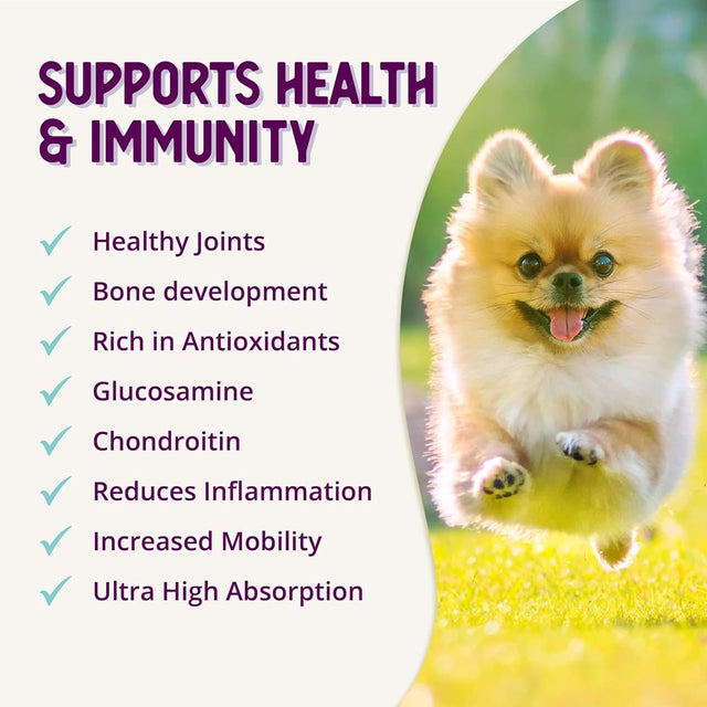 Health Extension Joint Mobility Powder - 1 Lb.