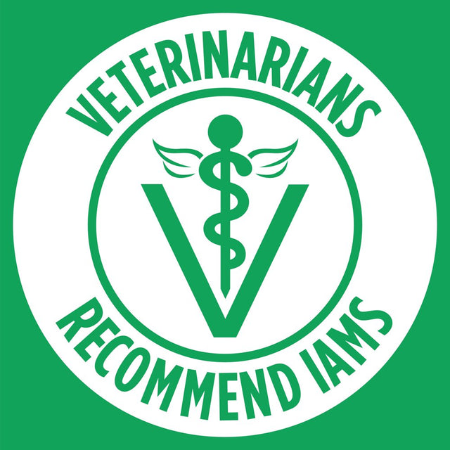 IAMS Chicken & Whole Grains Dry Dog Food for Petite & Small Breed Adult Dog, 7 Lb. Bag