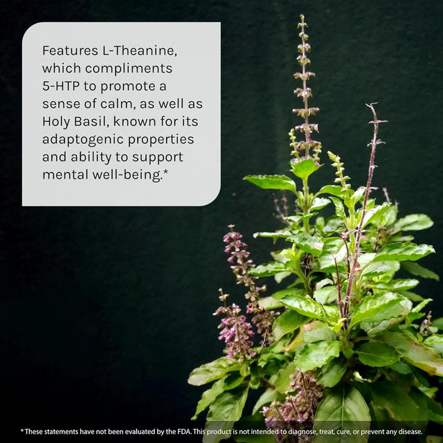 Irwin Naturals Double Potency 5-HTP Extra - 60 Liquid Soft-Gels, Pack of 2 - for Relaxation & Serotonin Production - 60 Total Servings