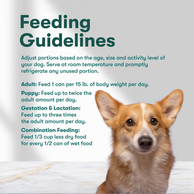 Jinx Chopped Chicken Recipe Natural Wet Dog Food, Grain-Free, 13 Oz. Can