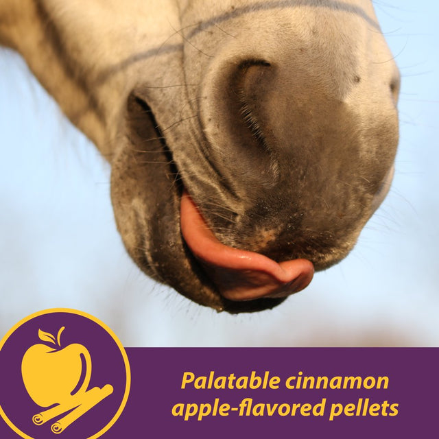 Horse Health Joint Combo Hoof & Coat 3.75 Pounds 30 Day Supply