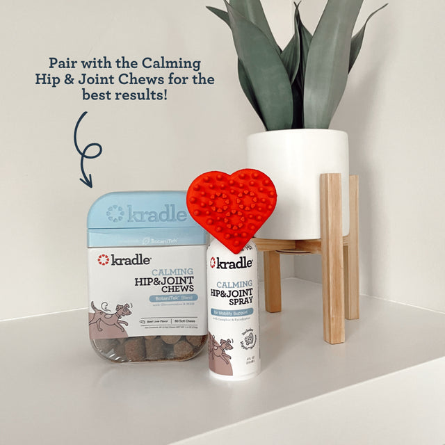 Kradle Calming Hip & Joint Spray with Hippie Applicator, Dog Mobility Support, 4 Fl Oz