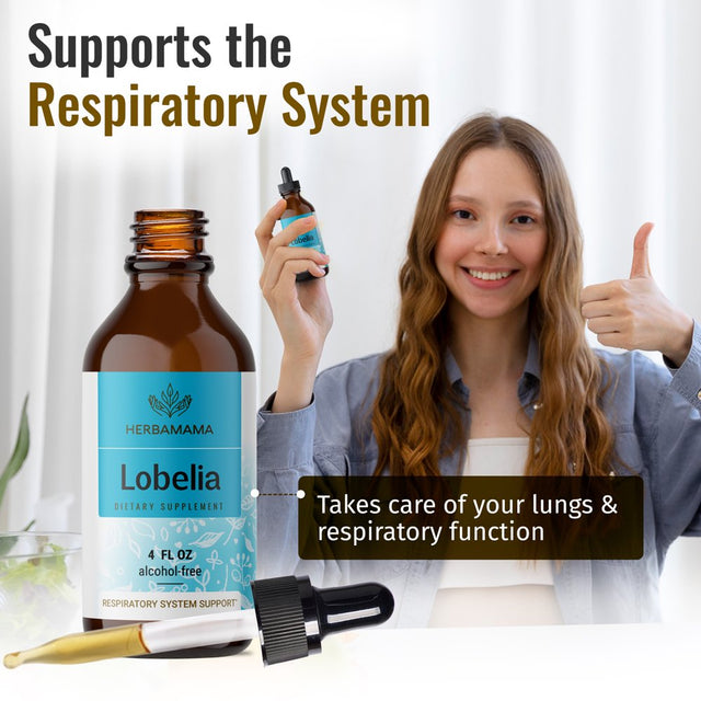 HERBAMAMA Lobelia Liquid Extract - Organic Herb Tincture for Lung Health, 4 Fl Oz