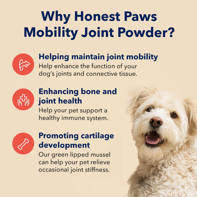 Honest Paws Dog Hip and Joint Powder – Mobility Health Bone Supplement- All Ages