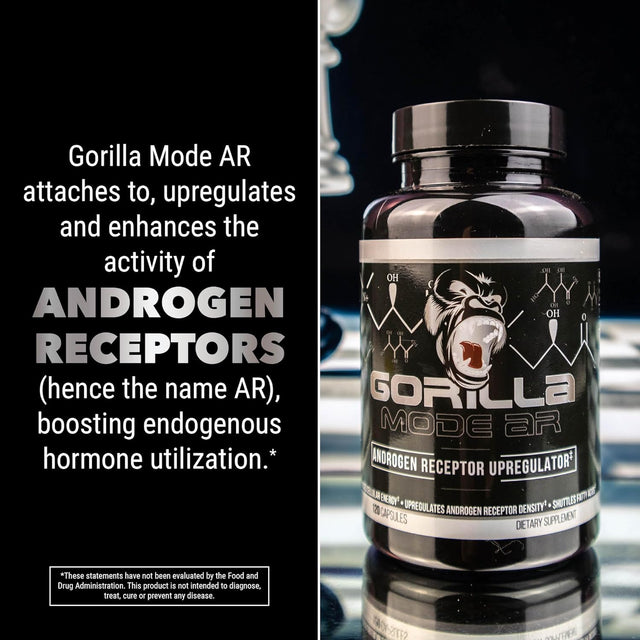 Gorilla Mode AR Carnitine 750Mg Capsules – Androgen Receptor Upregulator/Boosts Cellular Energy, Upregulates Androgen Receptor Density/Shuttles Fatty Acids (120 Capsules)