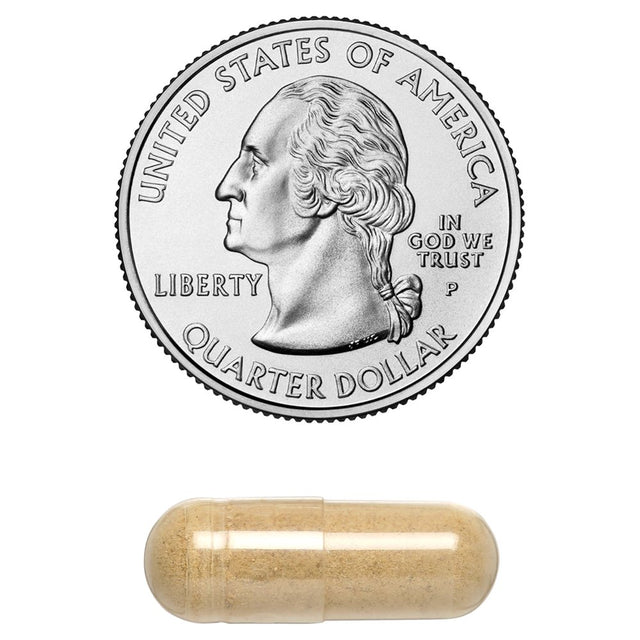 Amazing India Triphala 500 Mg 120 Vcaps