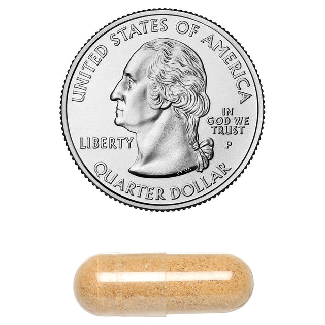 Klaire Labs Adrenamin - Adrenal Support Supplement with Cordyceps Mushroom, Rhodiola, Eleuthero & Pantothenic Acid (B5) - Gluten-Free Adrenal Health Support Supplements for Men & Women (120 Capsules)