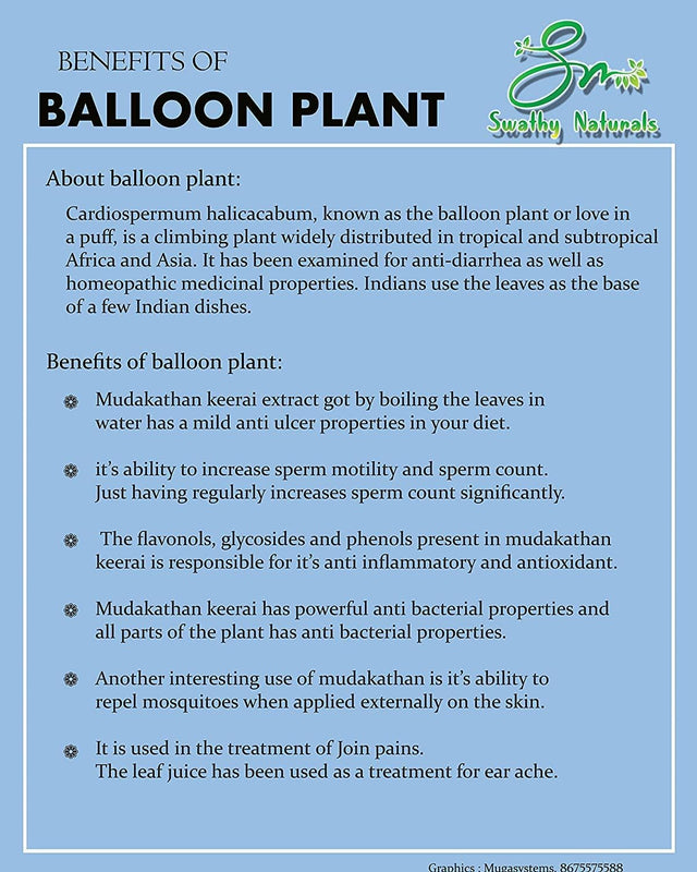 SWATHY Naturals : Mudakathan Powder 50G/முடக்கத்தான்/Balloon Plant/Cardiospermum Halicacabum/Mudakathan