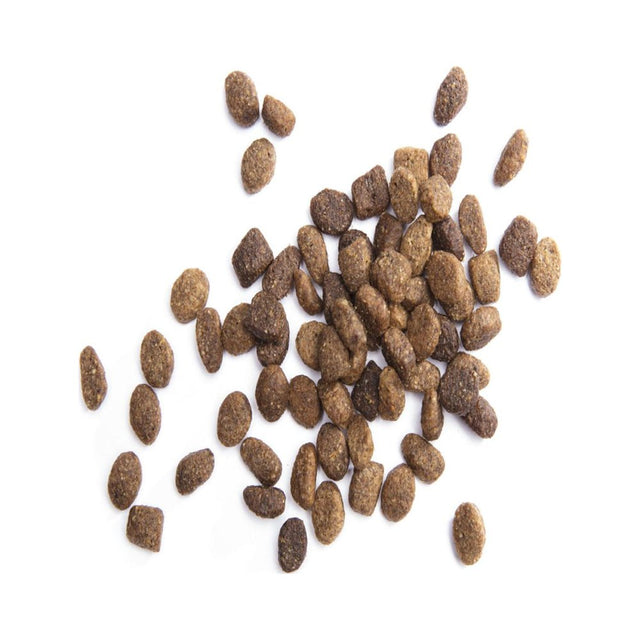 IAMS Proactive Health Minichunks Chicken and Whole Grain Recipe Dry Dog Food, 15 Lb Bag