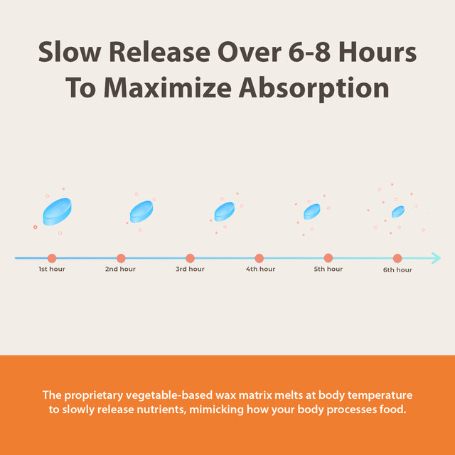 L - Arginine - 350Mg Sustained Release Dietary Supplement for Optimal Absorption - Nitric Oxide Precursor* , 60 Tablets - Endurance Products Company