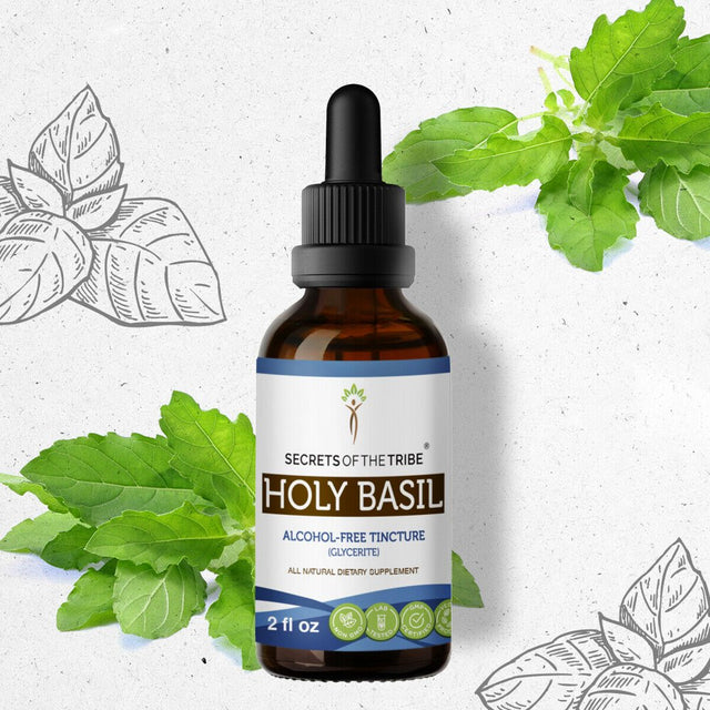 Holy Basil Tincture Alcohol-Free Extract, Organic Holy Basil (Ocimum Tenuiflorum) Dried Herb 2 Oz
