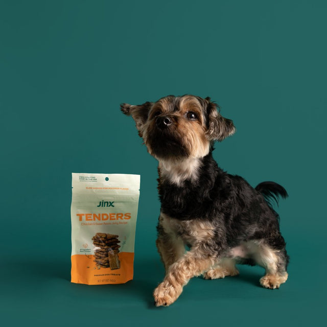 Jinx & Chris Evans Dog Dream Box