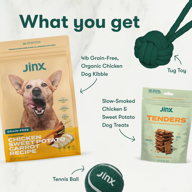 Jinx & Chris Evans Dog Dream Box