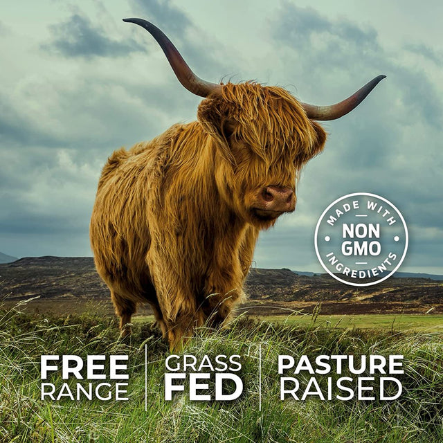 Forest Leaf Grass Fed Beef Organ Supplement with Liver, Heart, Spleen & Kidney, 180 Count