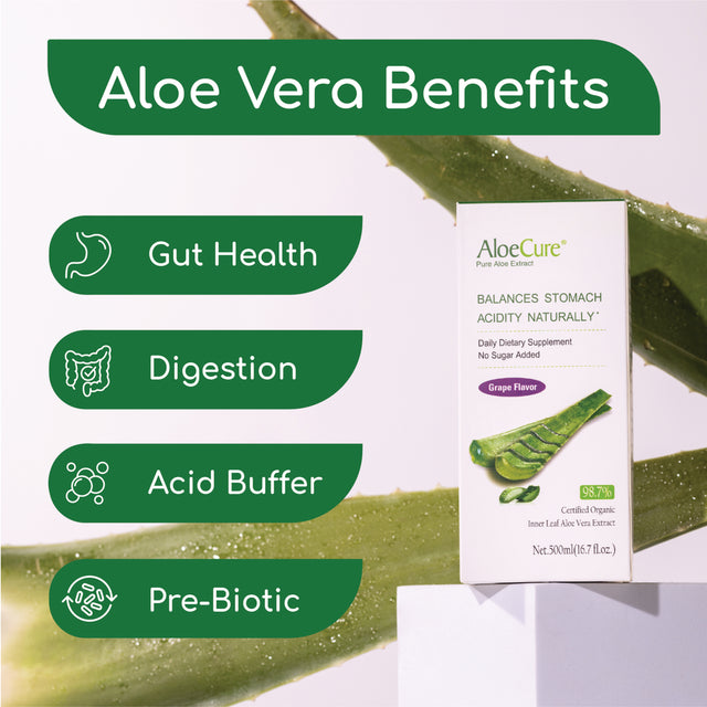 Aloecure USDA Organic Aloe Vera Juice Grape Flavor, Made within 12 Hours of Harvest - Pure Aloe Vera Drink Natural Treatment for Acid Reflux, GERD, Natural Acid Buffer, Aloe Vera Inner Fillet Juice