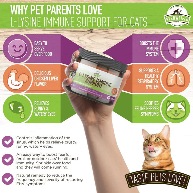 L-Lysine for Cats Supplement Powder Granules for Cat Cold, Sneezing, Congestion, Running Nose, Respiratory, Allergy Relief , Cats & Kittens of All Ages , Cat Health Supplies