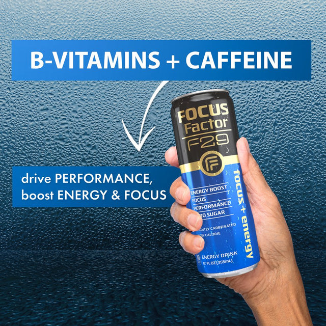 Focus Factor F29 Nootropic Focus + Energy Drink (Blue Razz Flavor) – Sugar Free, Pack of 12 – Lightly Carbonated – 10 Calories per Serving – Nootropic Beverage