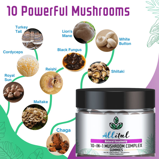 Allital 10-IN-1 Mushroom Complex | Mushroom Supplement 2500Mg | 60 Vegan Mushroom Gummies | Lions Mane, Cordyceps, Chaga, Shiitake, Reishi, Maitake, Turkey Tail, Royal Sun, White Button and Cloud Ear