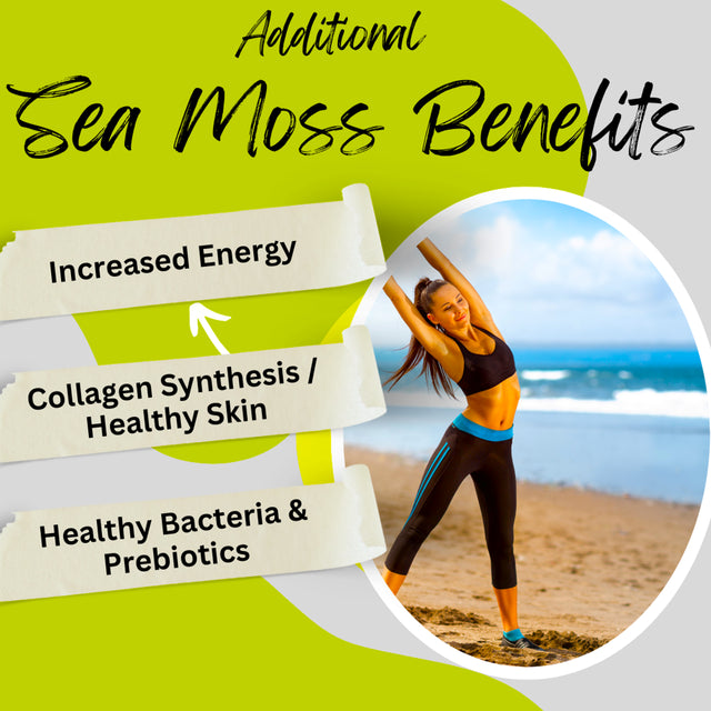 Advanced Bionetix Organic Irish Sea Moss Capsules, Raw Wildcrafted Seamoss Enhanced W/ Bladderwrack & Burdock Root Capsules 120 Total Pills Antioxidant Packed. Prebiotic Superfood, Thyroid Support.