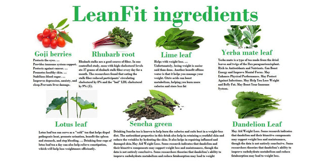 LEANFIT 14 Day Teatox Made for Woman Detox Cleansing Tea Reduce Bloating Release Toxins,Boost Metabolism Boost Energy All Natural …