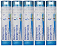 Boiron Gelsemium Sempervirens 6C (Pack of 5) , Homeopathic Medicine for Stage Fright, Apprehension and Fever