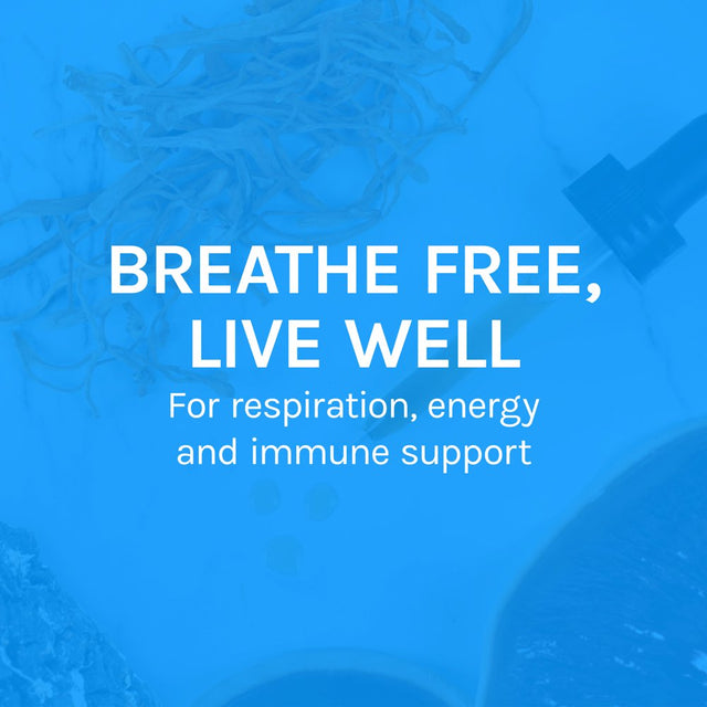 Host Defense, Breathe Extract, Respiratory Support, Mushroom Supplement with Cordyceps, Reishi and Chaga, Plain, 1 Fl Oz