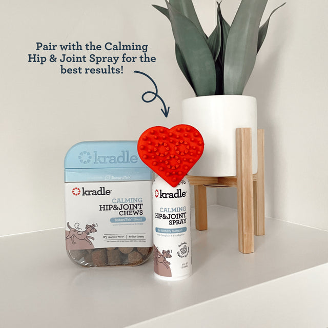 Kradle Calming Hip & Joint Soft Chews, Dog Mobility Support, Beef Liver Flavor, 60 Ct