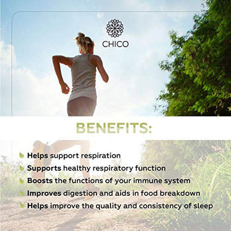 CHICO Mullein Leaf Capsules - Organic Verbascum Thapsus Dietary Supplement - Promotes Respiratory Function, Digestive Wellness & Immunity - Natural, Non-Gmo Herbal Sleep Aid - 1200 Mg, 100 Capsules