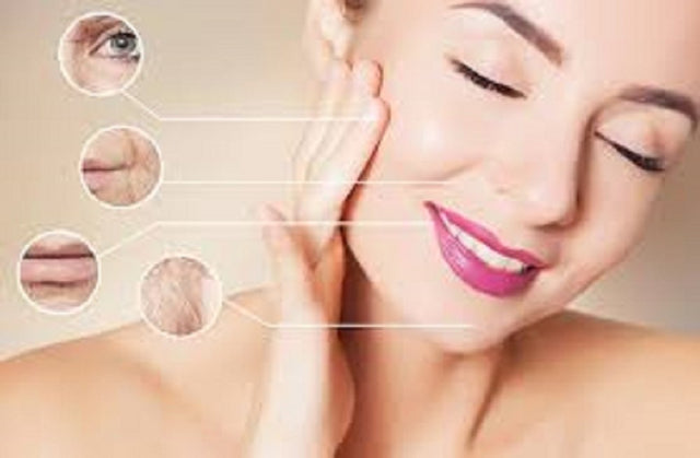 Joelle Monet - Ageless Moisturizer Cream - Anti-Aging, Moisturizing, Repairing, Firming, Anti-Wrinkle Cream - 2.5 Oz (1 Pack)