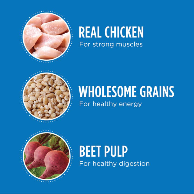 IAMS Proactive Health Chicken Dry Dog Food, 15 Lb Bag