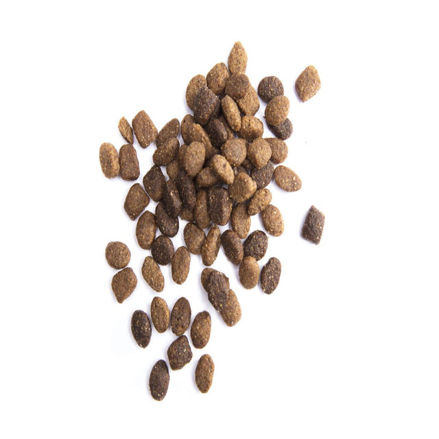 IAMS Proactive Health Chicken and Whole Grain Recipe Dry Dog Food for Puppies, 15 Lb Bag